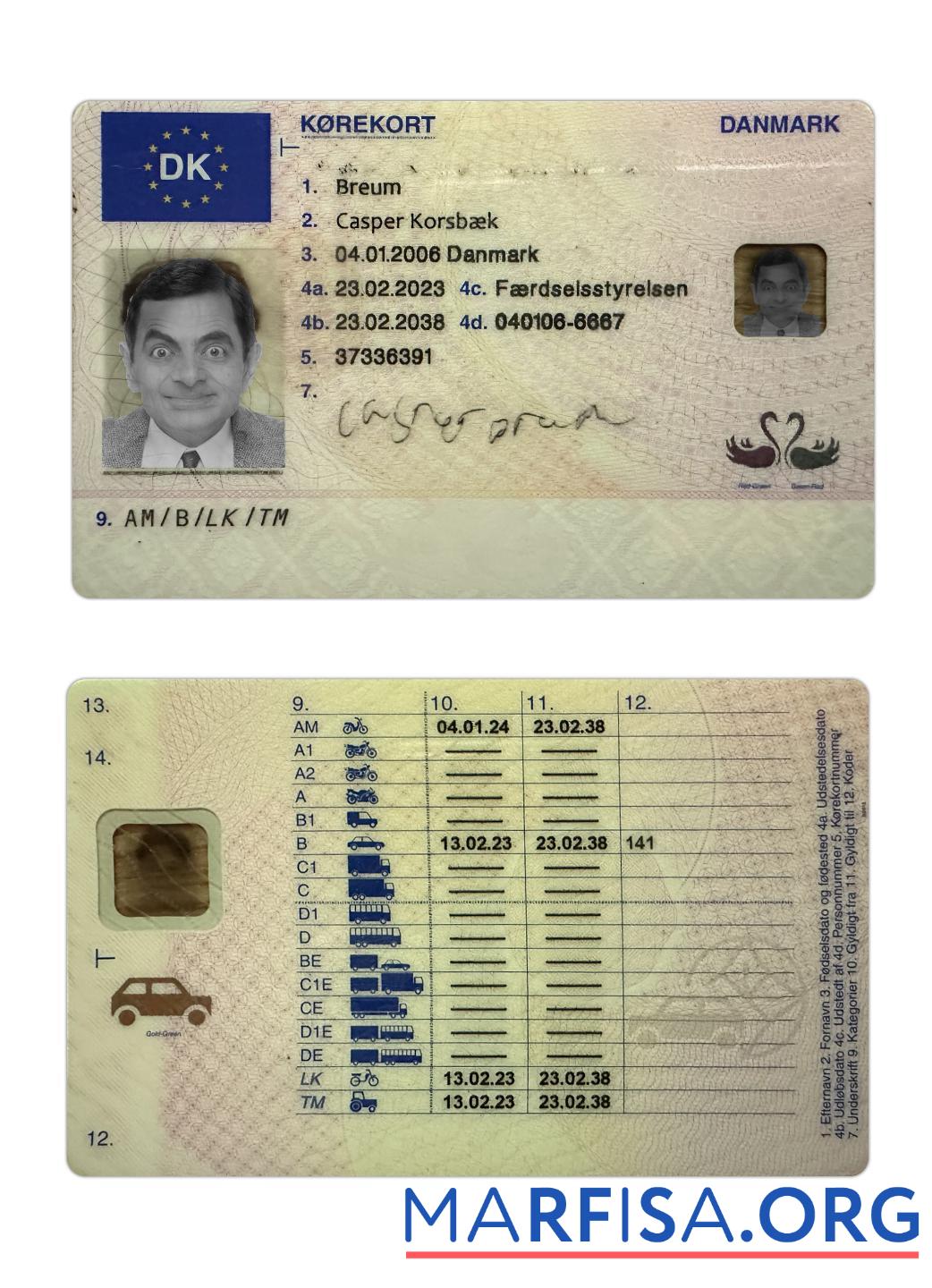 Blank Denmark driving license 2023 present template